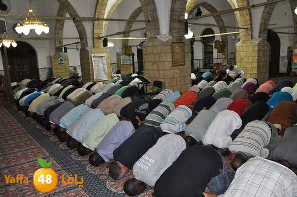 trawe7 7san bek 715 (22).JPG